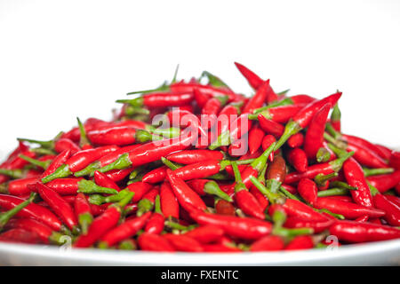 Teller mit Thai rote Chilis auf weißem Hintergrund Stockfoto