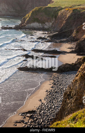 Traeth Llyfyn Strand in der Nähe von Abereiddy in Pembrokeshire. Ein schöner Sandstrand mit hohen Felsklippen. Stockfoto