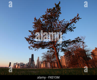 Chicago Skyline der Stadt, gesehen vom Nordstrand Allee bei Sonnenaufgang in Chicago, Illinois, Vereinigte Staaten von Amerika Stockfoto