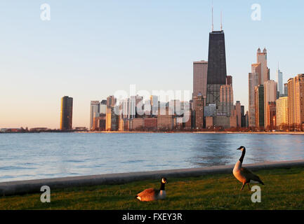 Chicago Skyline der Stadt, gesehen vom Nordstrand Allee bei Sonnenaufgang in Chicago, Illinois, Vereinigte Staaten von Amerika Stockfoto