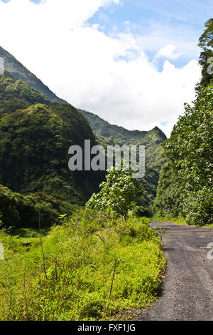 Papeeno, Papeeo, Maroto, Tal, Tahiti, Französisch-Polynesien, ein wildes Tal im Papeeno-Tal mit einer unbefestigten Straße durch Sie Stockfoto