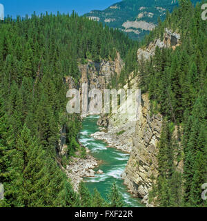 south Fork Flathead River in einem tiefen Canyon über Hungry Horse Reservoir in der Nähe Hungry Horse, montana Stockfoto