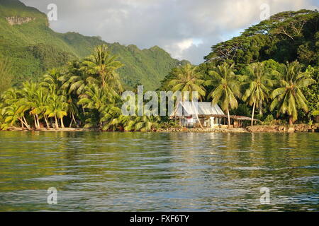 Küstenlandschaft mit einem rustikalen Haus und Kokos Bäume am Ufer, Huahine Insel, Pazifik, Französisch-Polynesien Stockfoto