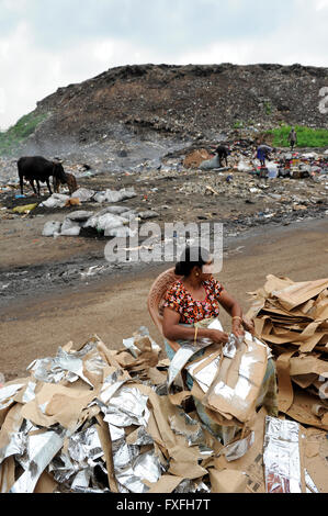 Sri Lanka Colombo, Müll-Berg an der Bloemendhal Road, rag Picker / Muellberg Bei der Bloemendhal Road, Muellsammler Stockfoto