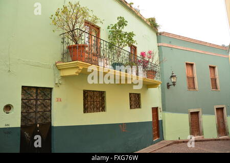 Reihe von Häusern in verschiedenen Grüntönen, kleiner Balkon mit Pflanzen, Guanajuato, Mexiko. Stockfoto