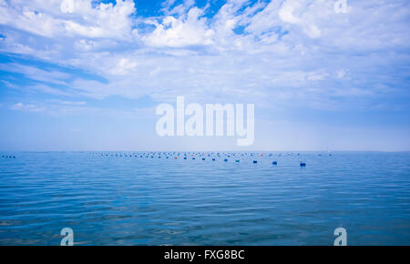 Lauf im Meer anlässlich Austernbänke, Austern Fischerei, Walvis Bay, Region Erongo, Namibia Stockfoto