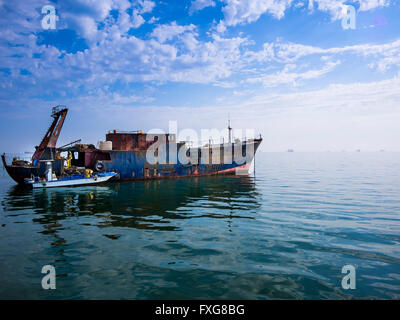 Austernfischer, alten rostigen Auster Fischerboot bei Oyster Bed, Walvis Bay, Erongo Region, Namibia Stockfoto