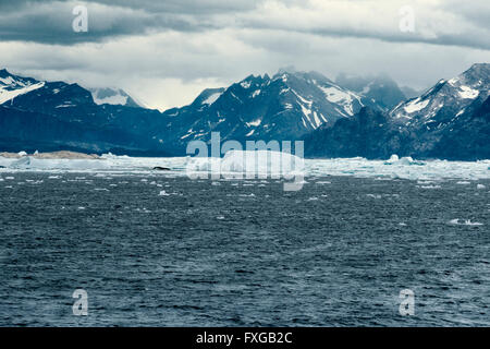 Der südwestlichen Küste von Grönland eisige Wasser umgeben Stockfoto