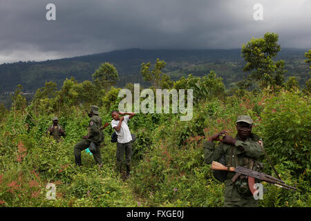 Ranger der Virunga-Nationalpark in der Demokratischen Republik Kongo führen eine Tour zu den neu ausbrechenden Vulkan Nyamulagira. Stockfoto