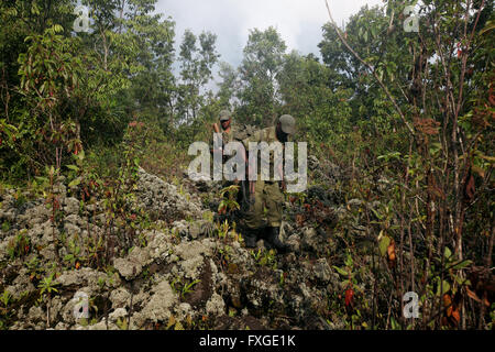 Ranger der Virunga-Nationalpark in der Demokratischen Republik Kongo führen eine Tour zu den neu ausbrechenden Vulkan Nyamulagira. Stockfoto