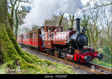 Nr. 1 Motor unterwegs Talyllyn Railway Tywyn, Gwynedd, Wales Stockfoto