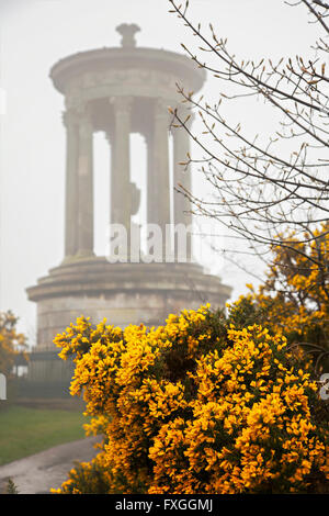 Bild des Denkmals Dugald Stewart auf Calton Hill, im dichten Nebel bedeckt. Edinburgh, Schottland. Stockfoto