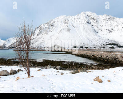 Winter-Szene mit Gimsoystraumen Brücke auf hrfreie Strecke E10, Lofoten Inseln, Norwegen Stockfoto