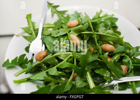 Frischer Löwenzahn Salat mit braunen Bohnen hautnah Stockfoto