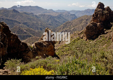 Kanarische Inseln, Gran Canaria, Mittelgebirge, Stockfoto