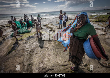 Mosambik, ist eine Frau am Strand in dem Seegras im Meer Angeln. Stockfoto