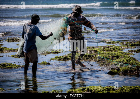 Mosambik, Frau und Mann ist das Fischen mit Netz in dem Seegras am Strand. Stockfoto