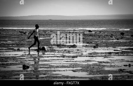 Mosambik, geht ein Mann in das Seegras am Strand, schwarz und weiß. Stockfoto