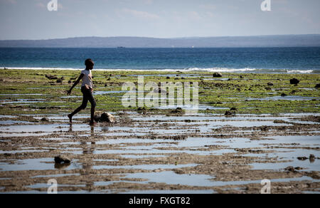 Mosambik ist ein Mann in das Seegras am Strand spazieren. Stockfoto