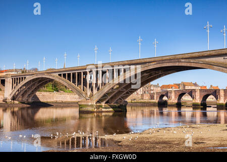 Die Royal Tweed Bridge, eröffnet im Jahre 1928, und dahinter, Berwick alte Brücke, eine Note 1 aufgeführten Gebäude, eröffnet im Jahre 1624 Berwick-up Stockfoto