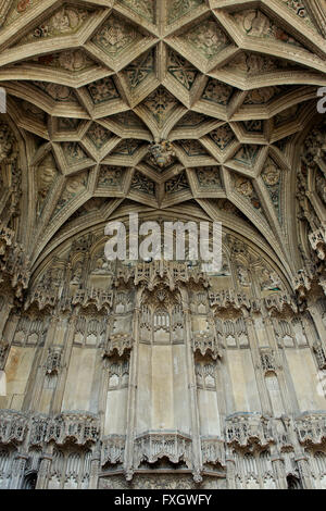 Ely Kathedrale Bischöfe Wests Kapelle Renaissance Stein Decke und Wandschnitzereien. Ely, Cambridgeshire, England Stockfoto