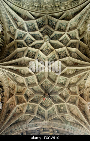 Ely Kathedrale Bischöfe Wests Kapelle Renaissance Stein Decke und Schnitzereien. Ely, Cambridgeshire, England Stockfoto