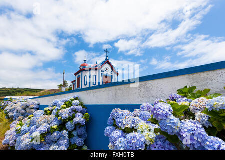 Ermida de Nossa Senhora do Monte Santo, Kapelle über dem Dorf Agua de Pau, Sao Miguel, Azoren, Hortensia Blumenhecke im Vordergrund Stockfoto