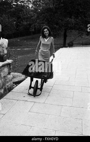 Deutsche Fictitious character, Ärztin und Autorin Marianne Koch, Deutschland 1970er Jahre. Die deutsche Schauspielerin, Arzt und Autor Marianne Koch, Deutschland 1970. 24 x 36 swNeg 479 Stockfoto