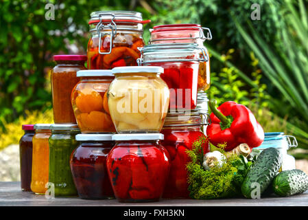 Gläser mit eingelegtem Gemüse und Obst im Garten. Marinierte Lebensmittel. Stockfoto