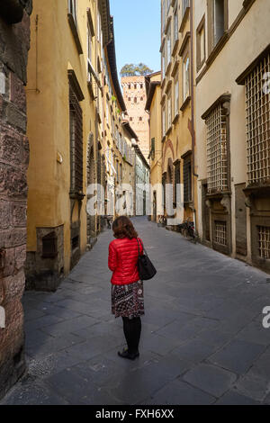 Torre Guinigi Turm aus Via Sant ' Andrea, Lucca, Toskana. Italien. Die Steineichen auf der Oberseite sichtbar. Stockfoto