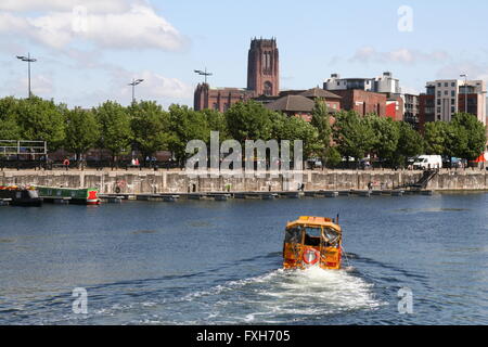 Gelbe "Ente" Amphibienfahrzeug führt Touristen auf Liverpool Docks mit der anglikanischen Kathedrale ist in der Ferne. Stockfoto