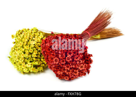 zwei Sträuße aus kleinen roten und gelben Wildblumen auf weißem Hintergrund Stockfoto