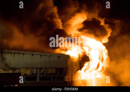 Feuerwehr in Angriff nehmen einem tobenden Feuer an Glyn Derw High School in Cardiff. Feuerwehr behauptete, dass das Feuer Brandstiftung war. Stockfoto