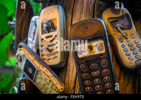 Alter Handys sind zu einem Stamm genagelt. Die stark beschädigten Handys übertragen die Botschaft, die Telefone sind von gedreht werden Stockfoto