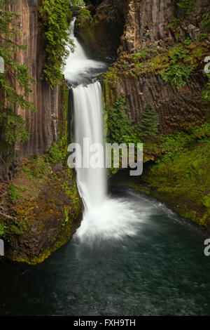 Des Oregon Toketee fällt Stockfoto