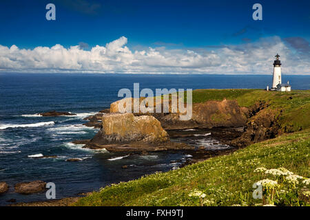 Oregons Yaquina Head Lighthouse Stockfoto