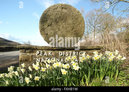 Ein Mühlstein Grenze Marker in der Dark Peak Region der Peak District National Park, Derbyshire England UK - Frühling Stockfoto