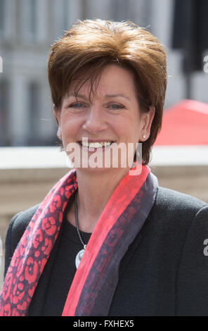 Diane James, MEP, ist der stellvertretende Vorsitzende der UKIP. Sie schloss sich Nigel Farage gegen die Regierungen-Broschüre über die EU Stockfoto