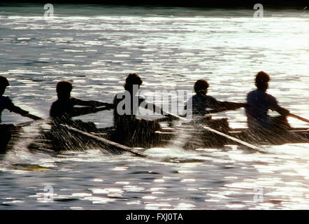 Bewegungsunschärfe Pfanne auf Paddler in den Kopf der Schuylkill Regatta Rudern; Delaware River; Philadelphia; Pennsylvania; USA Stockfoto