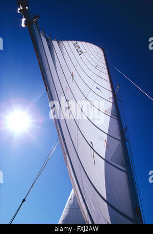 Blick von Großsegel auf Katamaran Segelboot nach oben; Golf von Mexiko; in der Nähe von Sarasota; Florida; USA Stockfoto