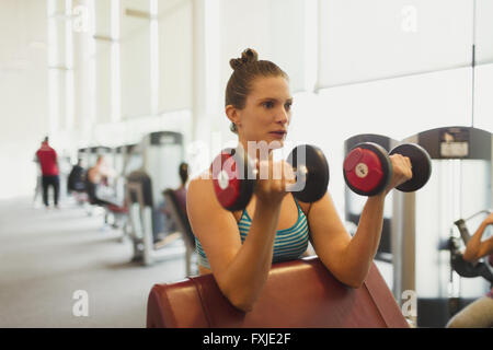 Konzentrierte sich Frau tun Hantel Bizeps Curls in Turnhalle Stockfoto