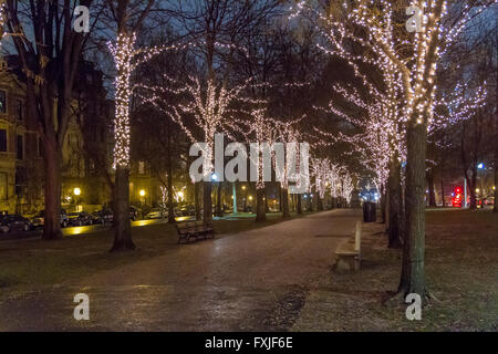 Bäume bedeckt mit Weihnachtslichtern entlang der Commonwealth Avenue in Boston, Massachusetts, USA Stockfoto