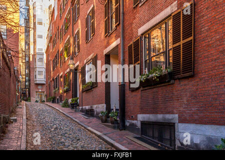 Acorn St im Beacon Hill Viertel von Boston, einer engen gepflasterten Straße mit historischen Molkhäusern, Boston, Massachusetts, USA Stockfoto