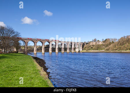 Jungfrau-Bahn überqueren das Viadukt über den Fluss Tweed bei Berwick-upon-Tweed, Northumberland, England, UK Stockfoto