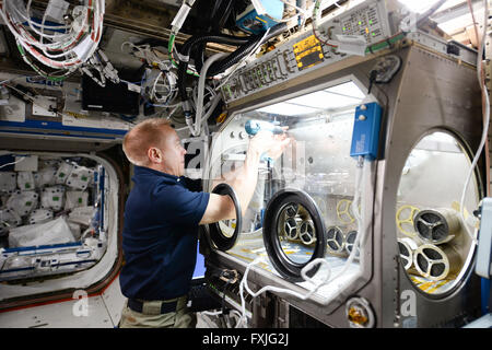 Internationale Raumstation ISS-Expedition 47 Commander Astronaut Tim Kopra konfiguriert Microgravity Science Glovebox für zukünftige Forschung innerhalb der Destiny-Modul 7. April 2016 in der Erdumlaufbahn. Stockfoto