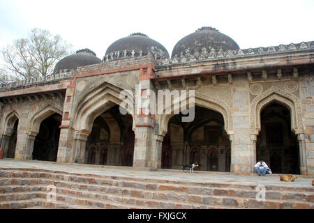 Auf Seiten der Bada Gumbad Moschee, Lodhi Gärten, Delhi, mit Inschriften Bögen und Kuppeln auf der Oberseite Stockfoto