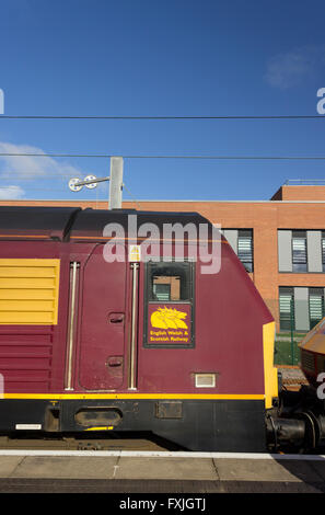 67024 Stockfoto