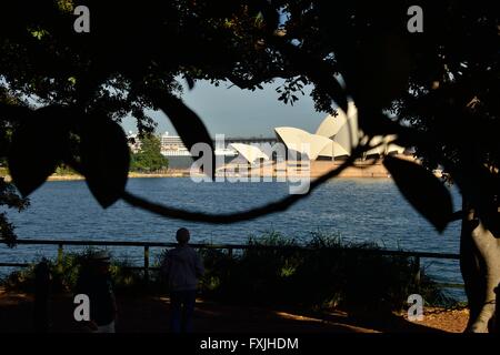 Sydney Opera House durch Bäume aus botanischen Garten Stockfoto