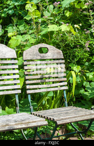 Holzstühle vor Garten Sträucher Stockfoto