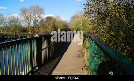Brücke im Sonnenlicht Stockfoto